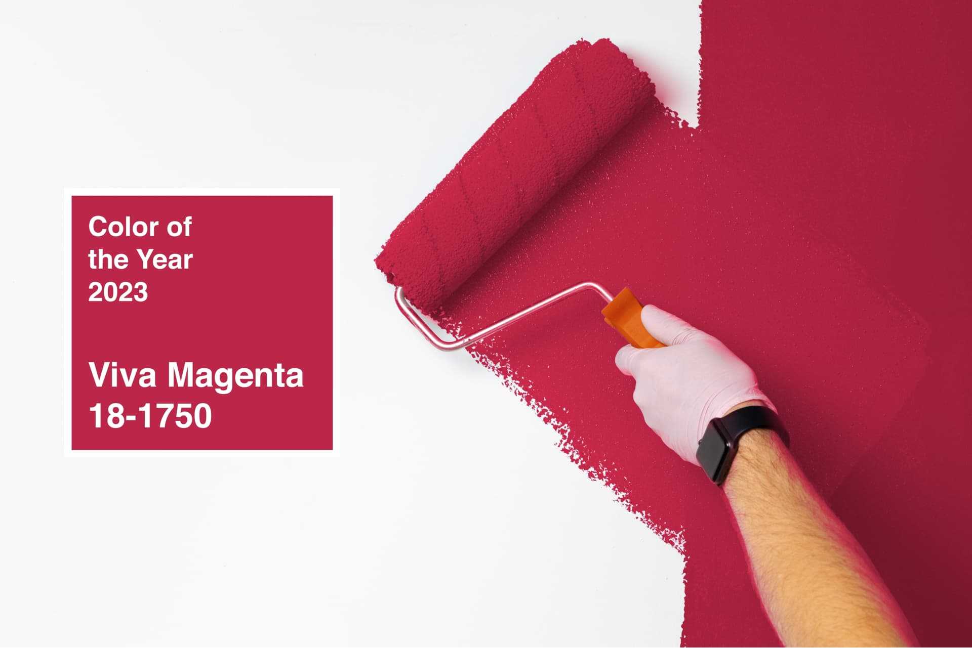 An accent wall being painted a bright magenta color, the 2023 Pantone Color of the Year An accent wall being painted a bright magenta color, the 2023 Pantone Color of the Year