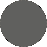 Charcoal Gray